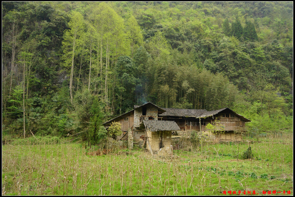 źӴ41.jpg