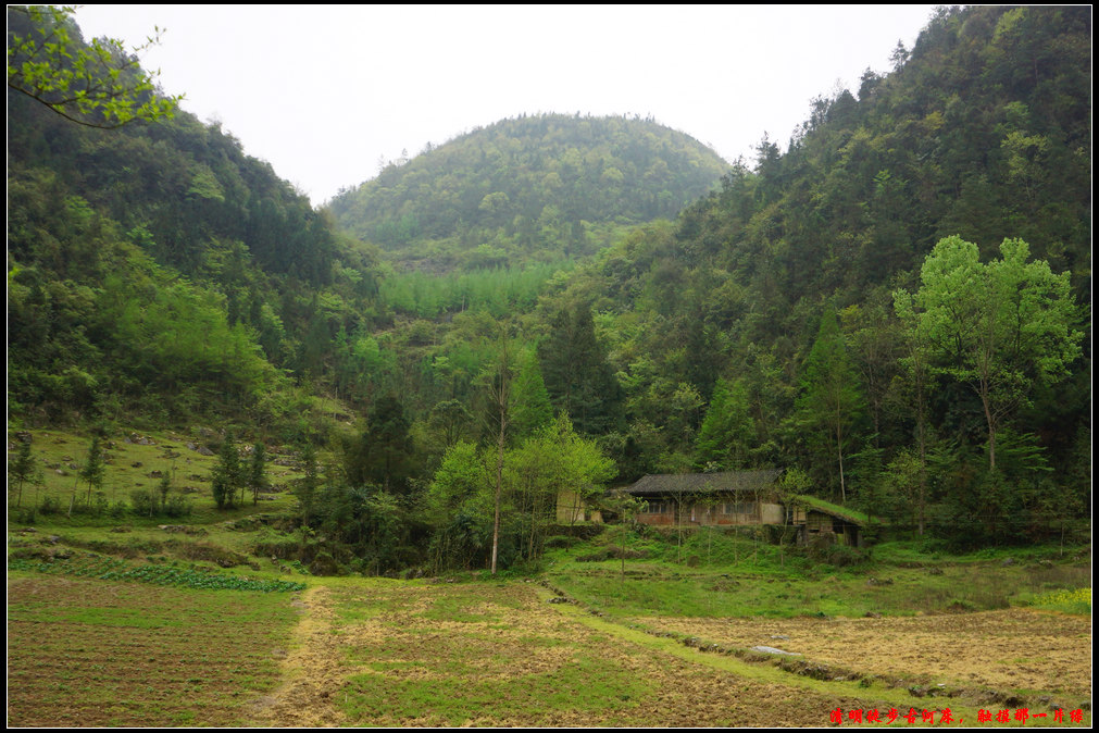 źӴ32.jpg