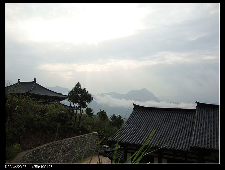 neo_img_dsc03799.jpg