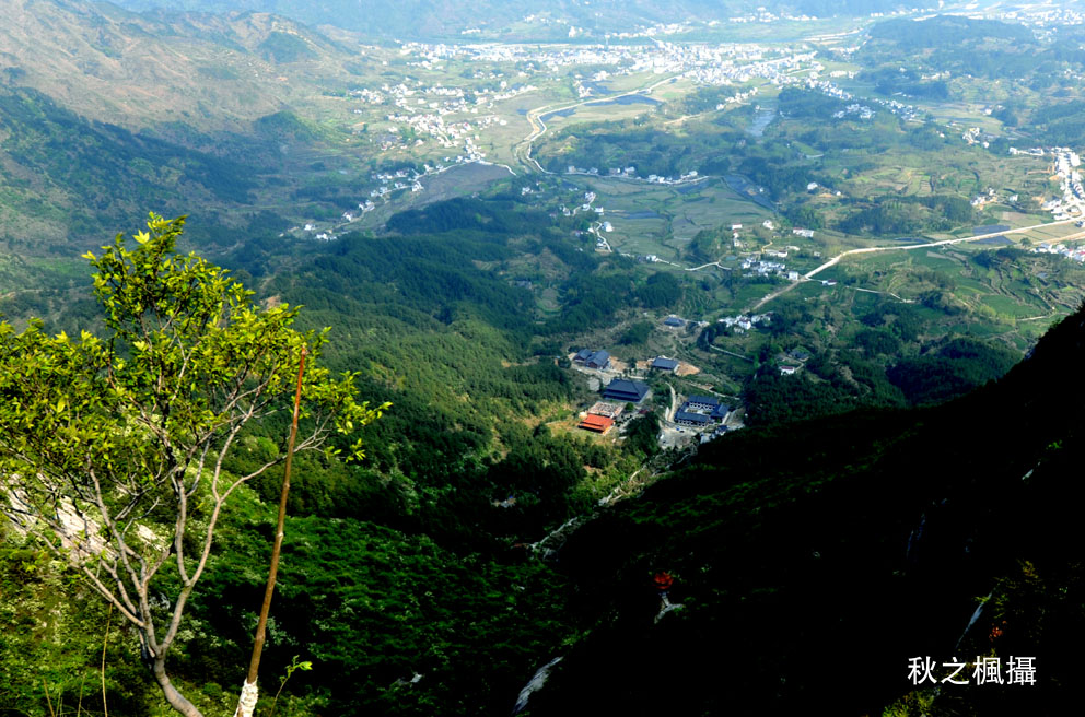dsc_2695-1.jpg