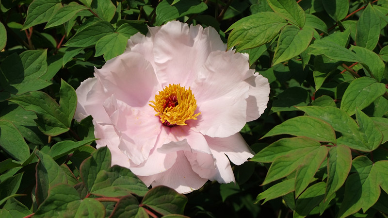 dscf9075_.jpg