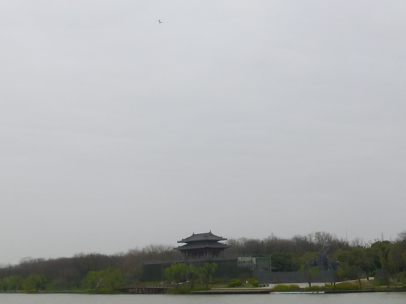 p1050202.jpg