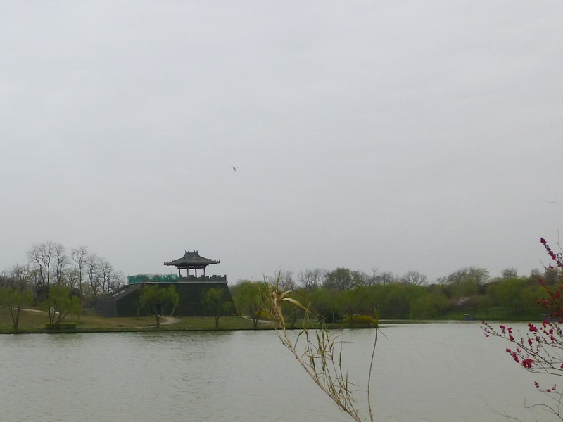 p1050203.jpg