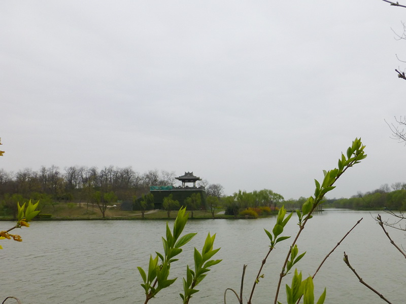 p1050205.jpg