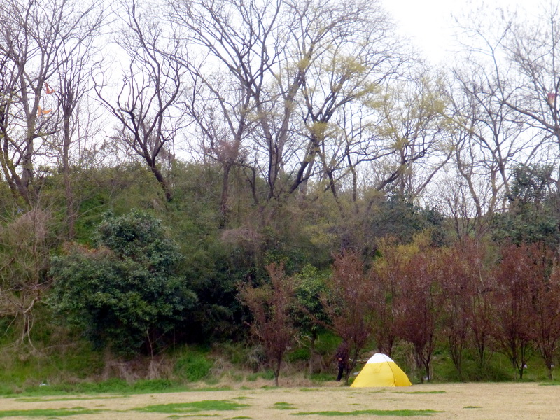 p1050207.jpg