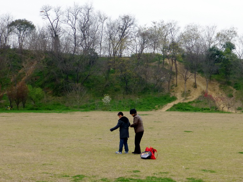 p1050214.jpg