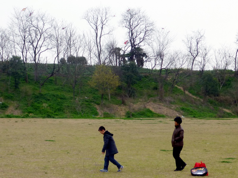 p1050215.jpg