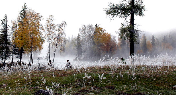 dsc_7851.3_.jpg