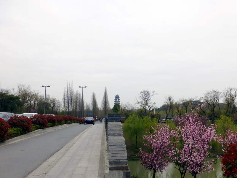 p1050221.jpg