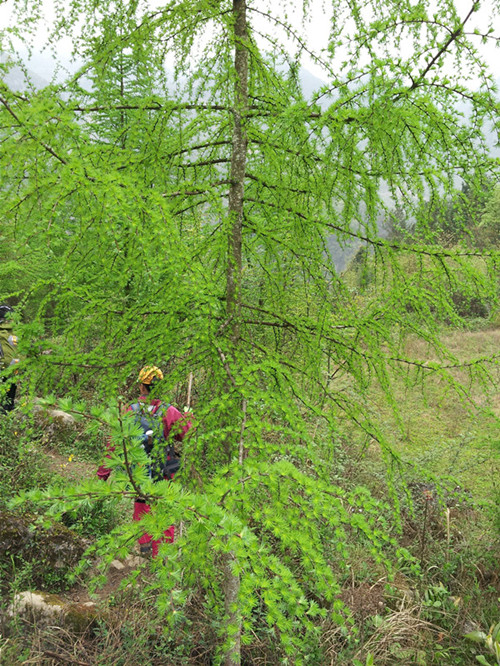 20130404_090147.jpg