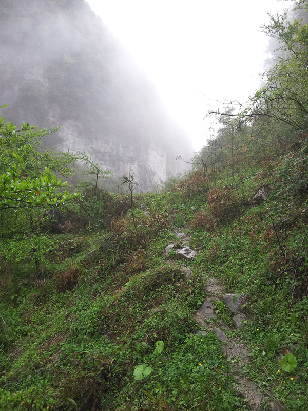 20130404_152519.jpg