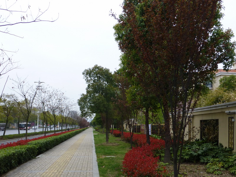 p1050257.jpg
