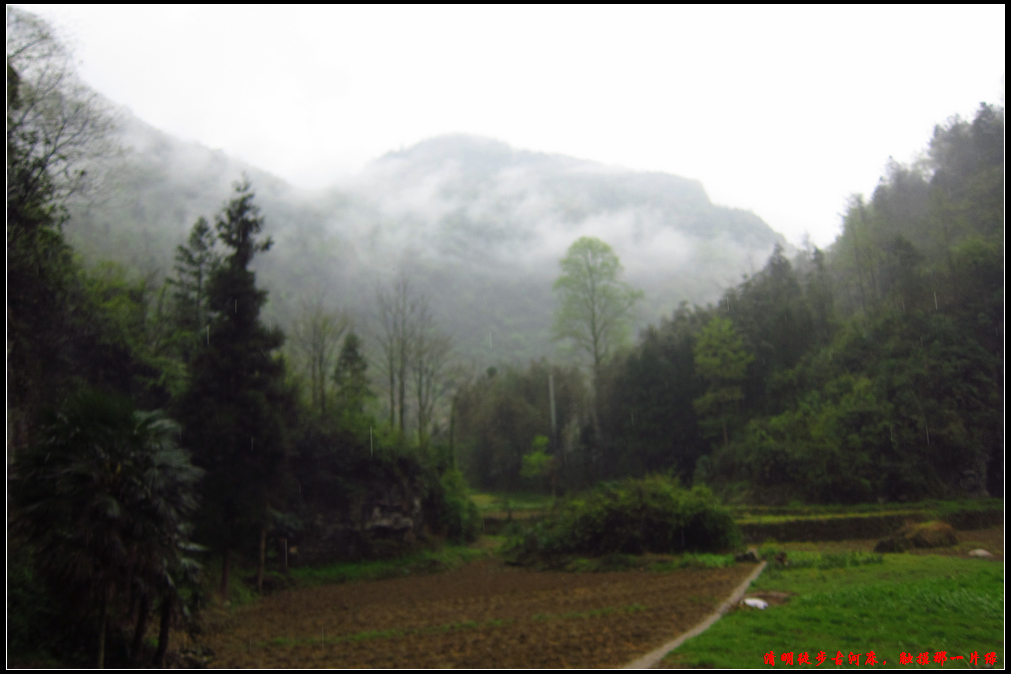 古河床267.jpg