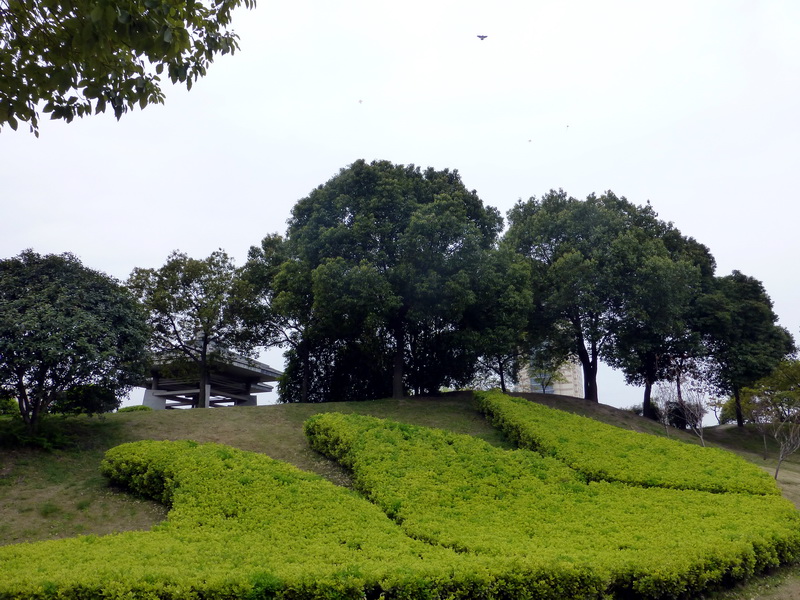 p1050259.jpg