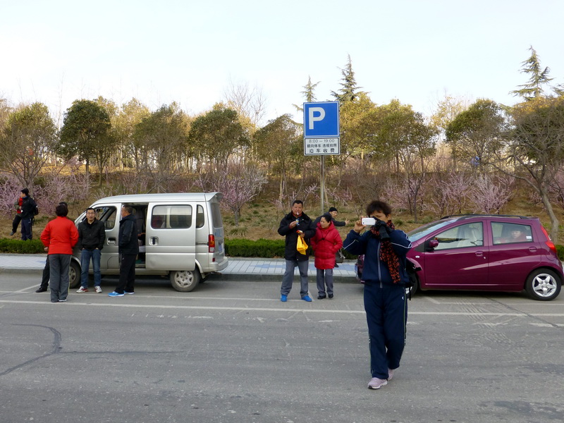 p1040445.jpg