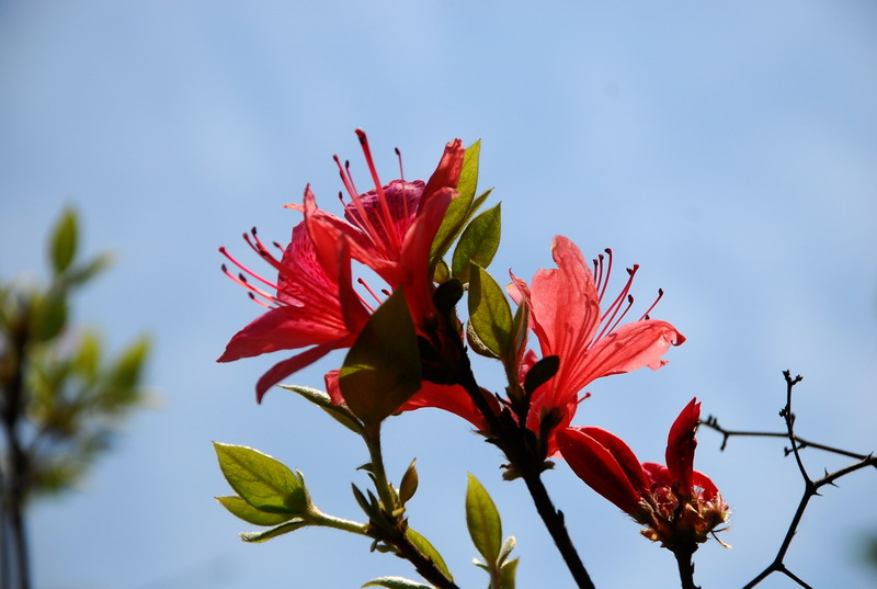 dsc_7510.jpg