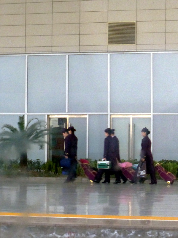 p1050393.jpg