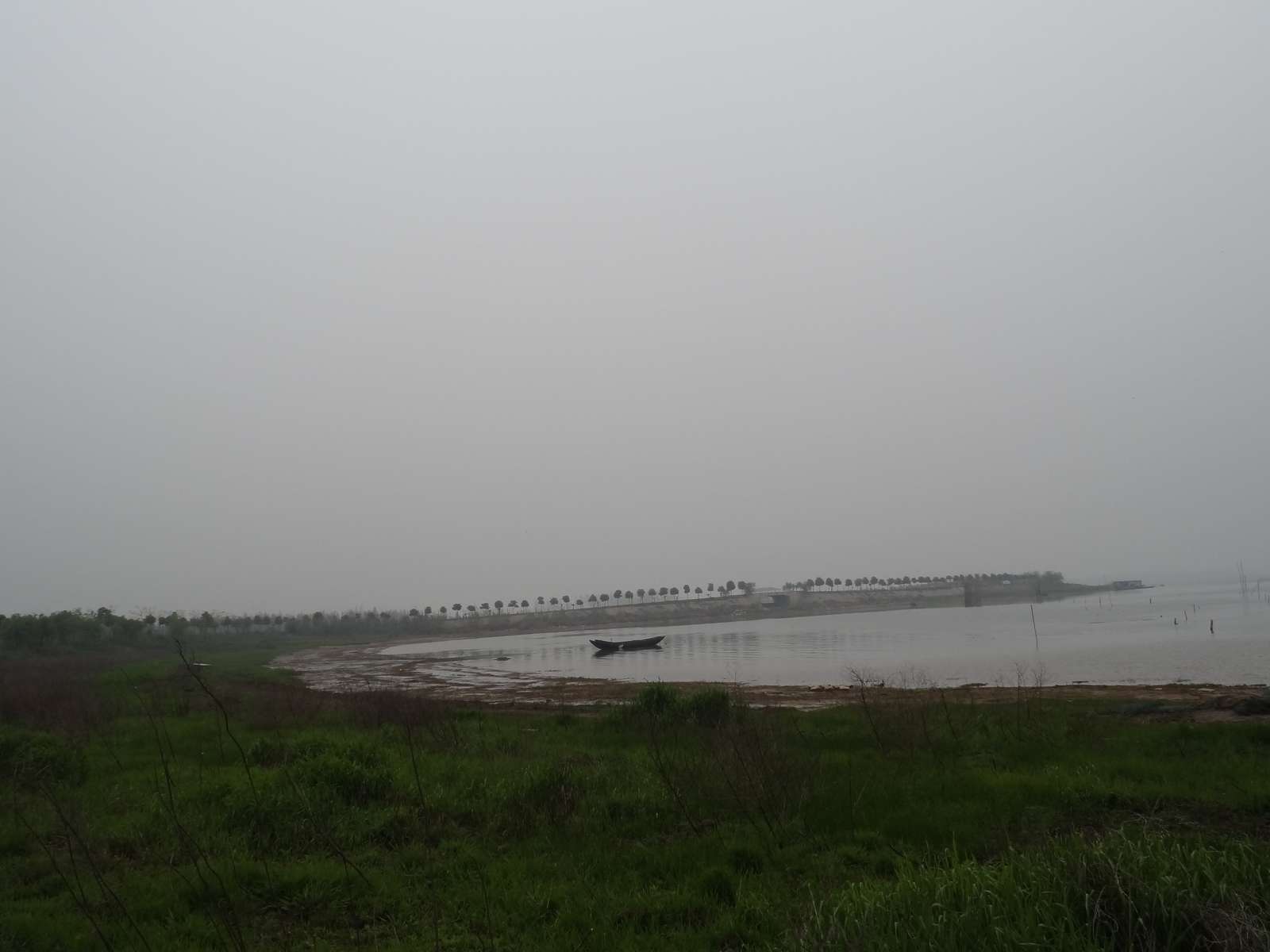 dsc02455_neo_img.jpg