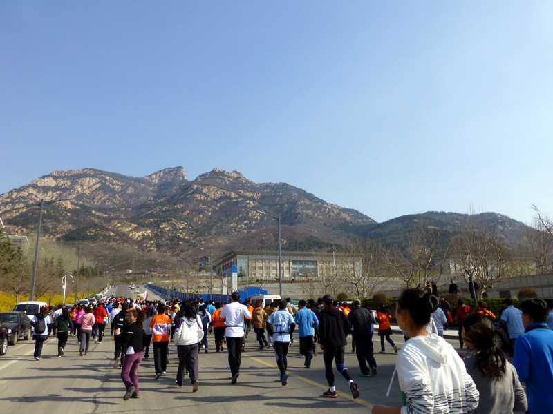 p1040533.jpg