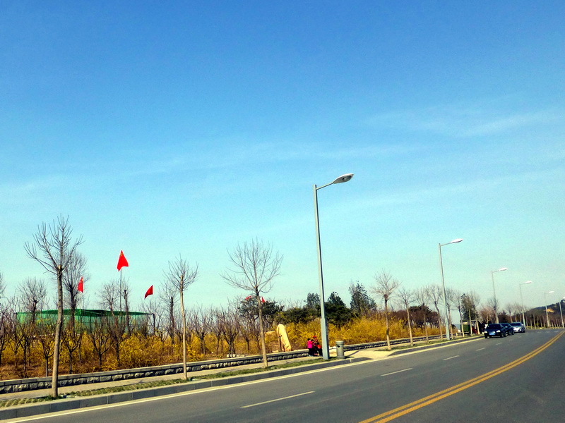 p1040547.jpg