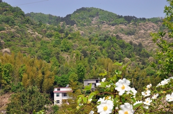 dsc_0001.jpg