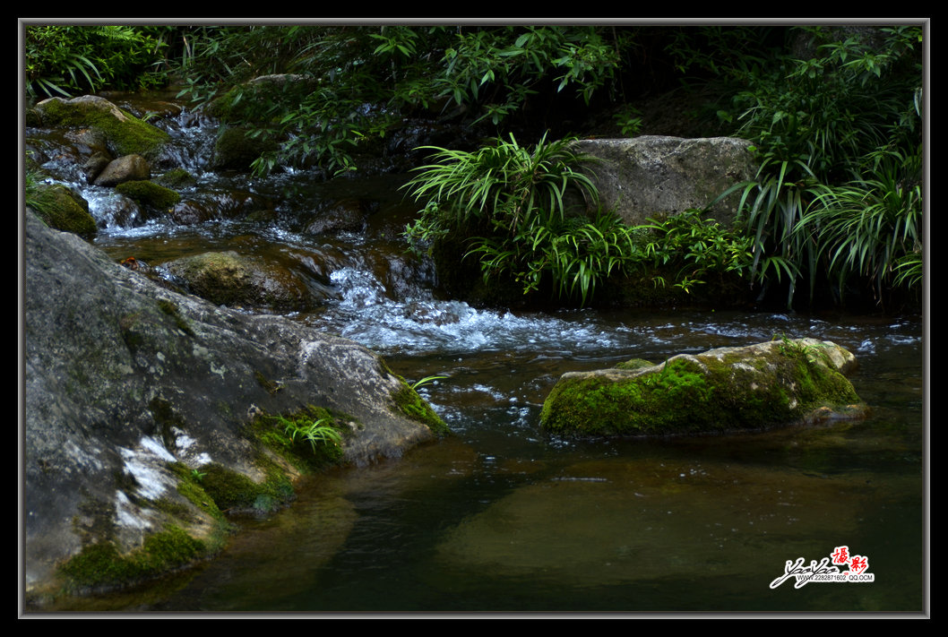 dsc_3379.jpg