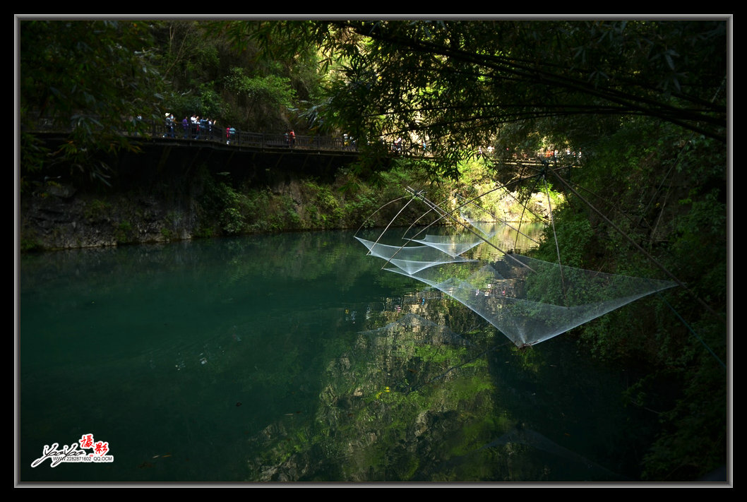 dsc_3390.jpg