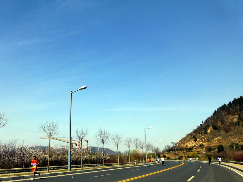 p1040590.jpg