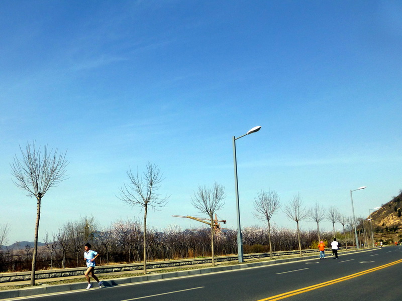 p1040588.jpg