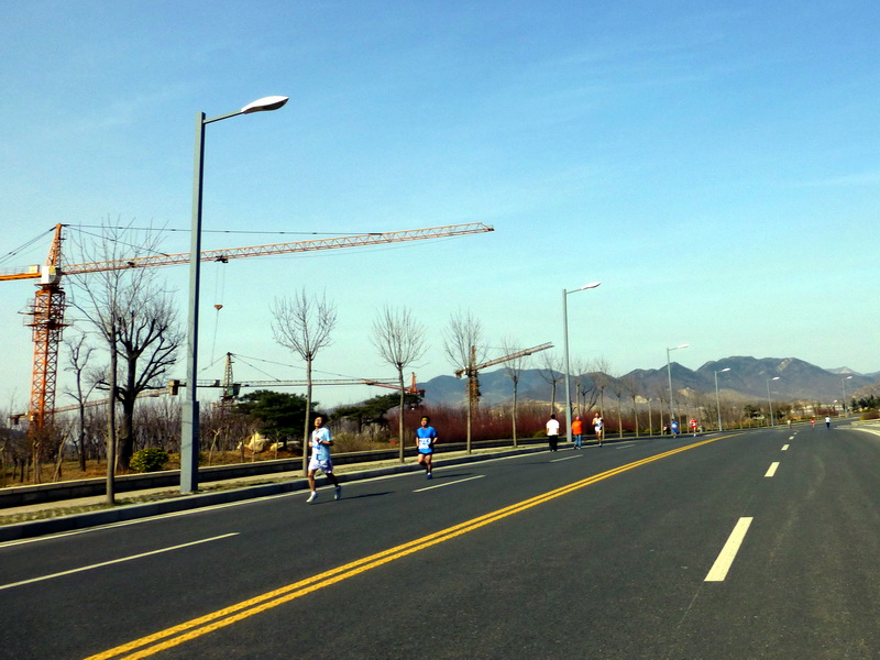 p1040597.jpg