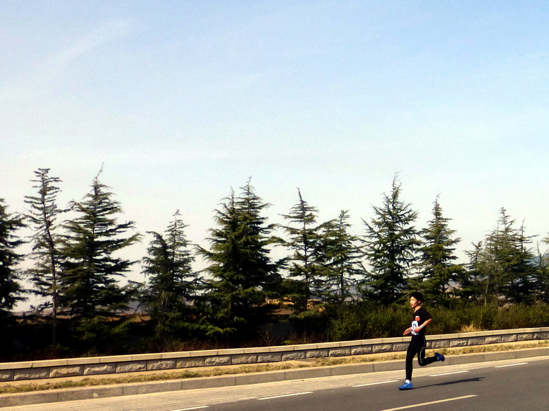 p1040579.jpg