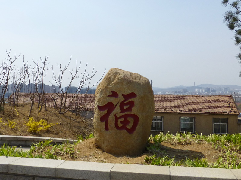 p1040646.jpg