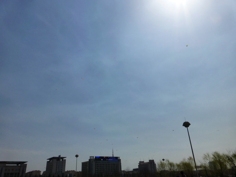 p1040667.jpg