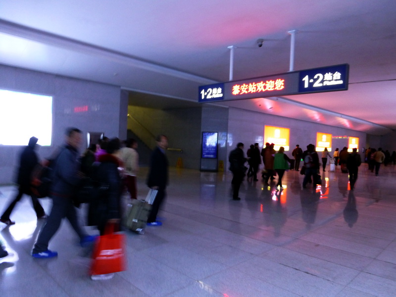 p1040685.jpg