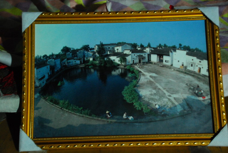 dsc_6486.jpg