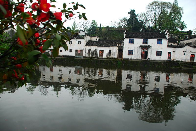 dsc_6533.jpg