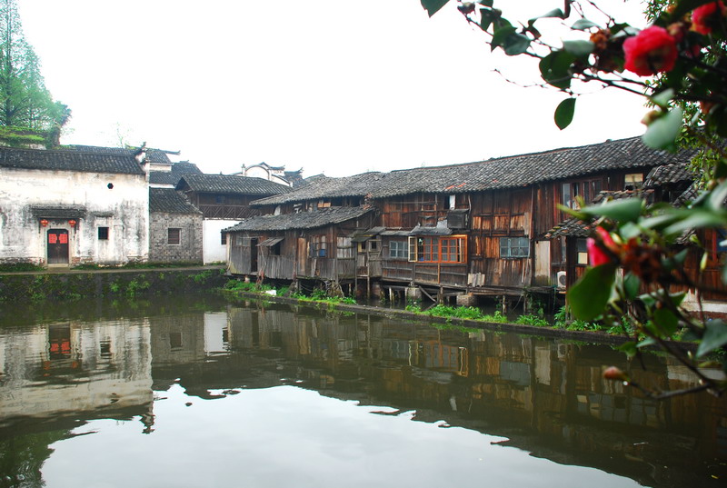dsc_6539.jpg