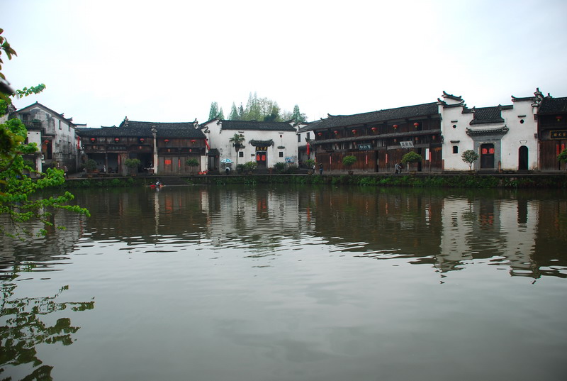 dsc_6545.jpg
