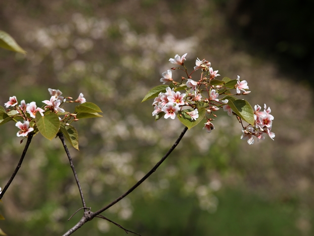 img_1860-1.jpg