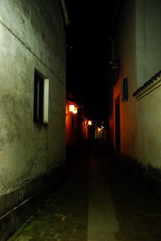 dsc_6517.jpg