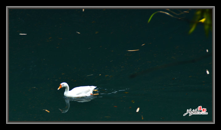 dsc_3278.jpg