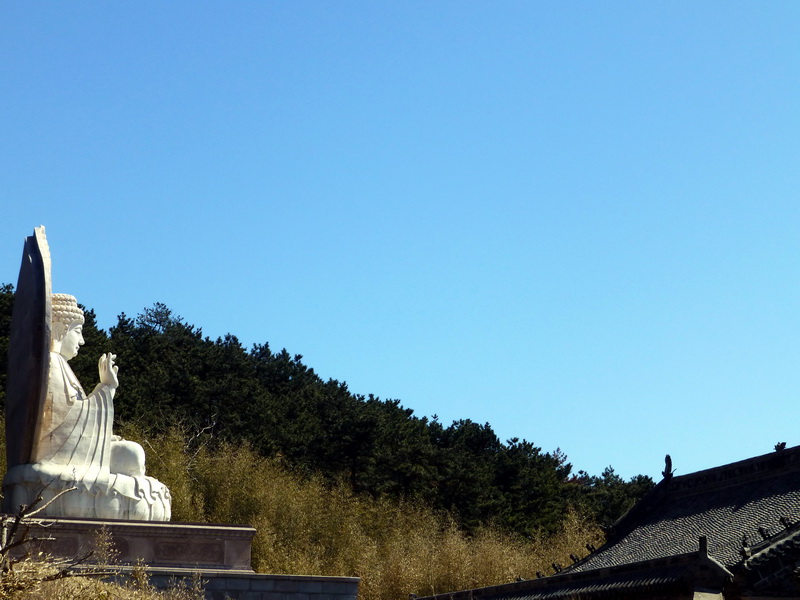 p1040755.jpg