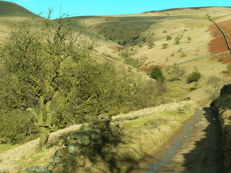 8_roych_clough_from_pennine_bridleway.jpg163.jpg