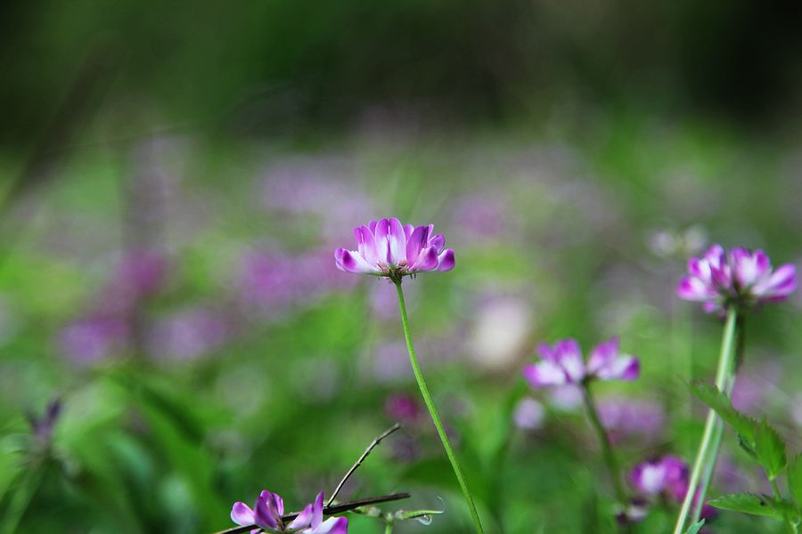 neo_img_img_1754.jpg