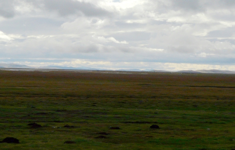 351.jpg