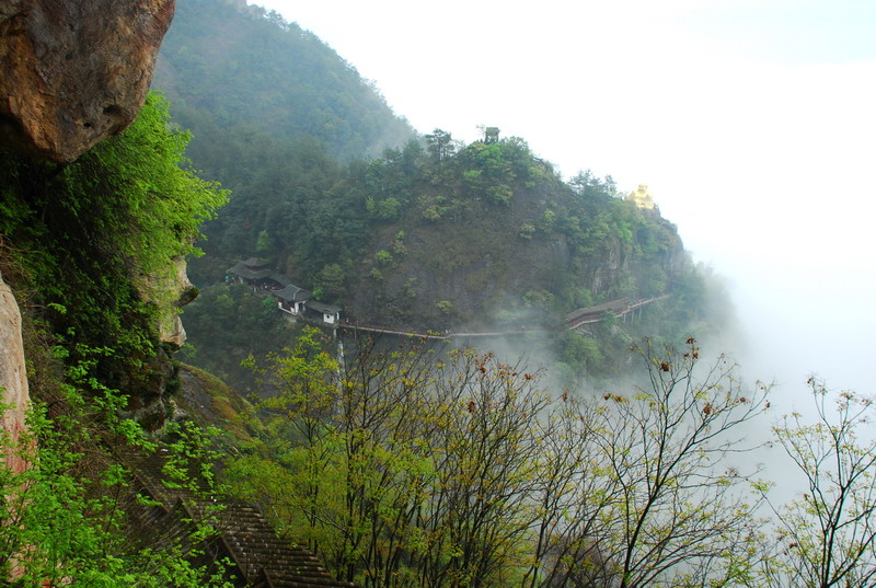dsc_6766.jpg