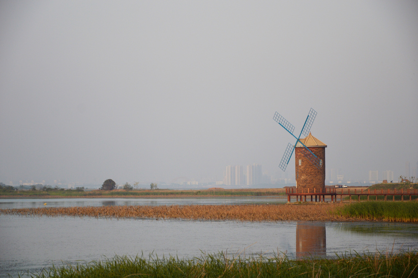 dsc_0163.jpg