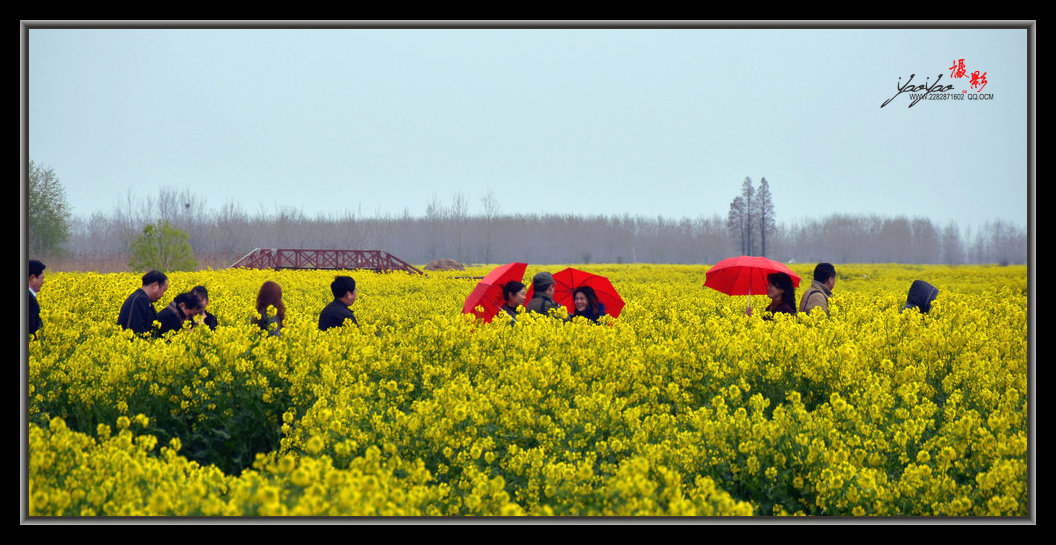 dsc_2108.jpg