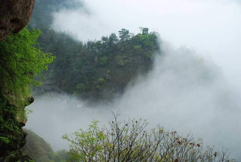 dsc_6814.jpg