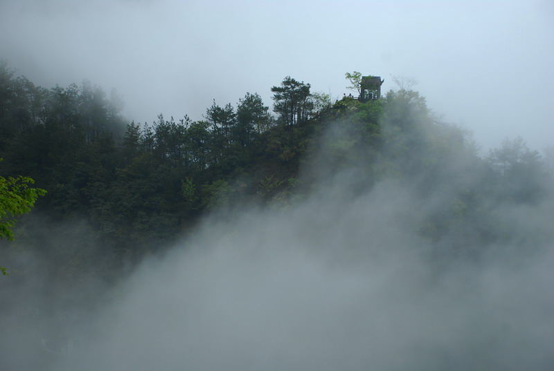 dsc_6818.jpg